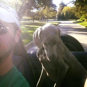 Meet your Posher, Marc